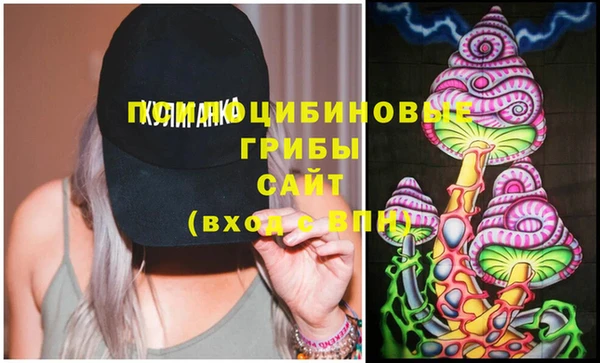 бошки Алексин