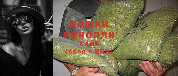 бошки Алексин