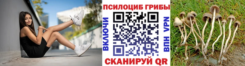гидра рабочий сайт  Кизел  Галлюциногенные грибы мицелий 